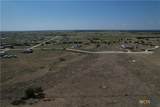 TBD Daniel Drive - Photo 22