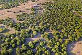 Lot 17 Rolling Hills Drive - Photo 5