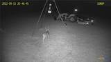 4668 Old Hwy Rd - Photo 26