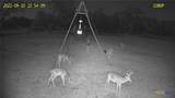 4668 Old Hwy Rd - Photo 27