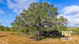 1776 Fm 1351 - Photo 8
