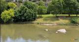 Lot 178 North River Road - Photo 7