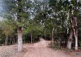 12 Acres Mt. Pleasant Rd - Photo 10