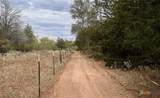 12 Acres Mt. Pleasant Rd - Photo 6