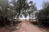 12 Acres Mt. Pleasant Rd - Photo 8