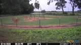2224 Levee Road - Photo 3