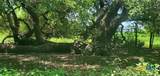 2224 Levee Road - Photo 32