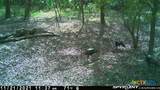 2224 Levee Road - Photo 38