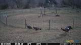 2224 Levee Road - Photo 4