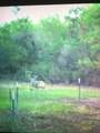 2224 Levee Road - Photo 40