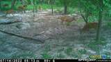 2224 Levee Road - Photo 41