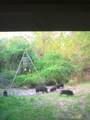 2224 Levee Road - Photo 42