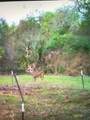 2224 Levee Road - Photo 44