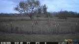 2224 Levee Road - Photo 6