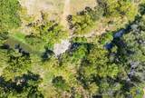 14440 Nutty Brown Road - Photo 15