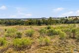 14440 Nutty Brown Road - Photo 16