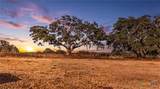 43 Rice Road - Photo 9