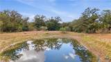 1184 County Road 482 - Photo 6
