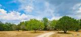 823 Mountain Road - Photo 31