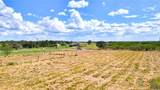 417 High Ridge Meadows Drive - Photo 12