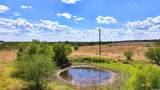 417 High Ridge Meadows Drive - Photo 6