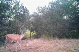 2998 Straws Mill Road - Photo 37