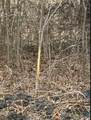 TBD Cr 3061 - Photo 4