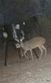209 Korth Lane - Photo 4