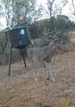 209 Korth Lane - Photo 7