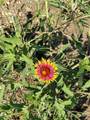 906 County Road 154 - Photo 7