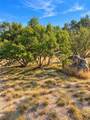 1701 Fox Foot - Photo 6