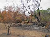 Lot 102 Ph 6 Private Road 42101 - Photo 15