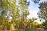 12424 Red Hill Road - Photo 13