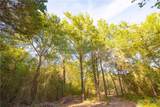 12424 Red Hill Road - Photo 14