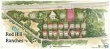 12424 Red Hill Road - Photo 5