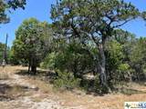 619 Cactus Flower - Photo 1