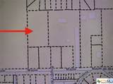 TBD Maple Street - Photo 11