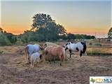 6514 Hwy 190 (I-14) - Photo 18