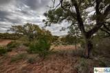 1218 Pinot Noir - Photo 5