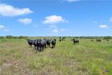 10600 County Road 210 - Photo 24