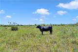 10600 County Road 210 - Photo 29