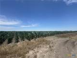 TBD Cr 335 Road - Photo 1