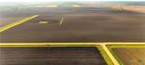 TBD Cr 335 Road - Photo 11