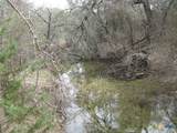 125 Acres Harmon Road - Photo 12