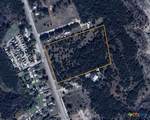 TBD Fm 3481/Cedar Knob Church Road - Photo 10