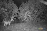 2998 Straws Mill Road - Photo 40