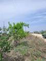 4453 County Road 619 - Photo 10