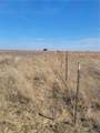 4453 County Road 619 - Photo 11