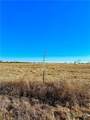 Tract 8 Fm 339 - Photo 5