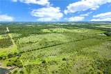 88 ac. Tract 13 Tower Drive - Photo 12